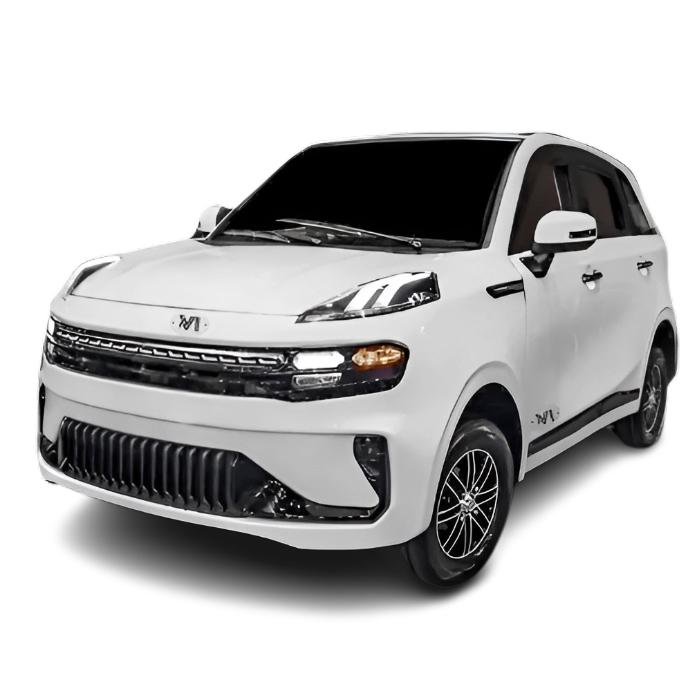 NV Motor Group